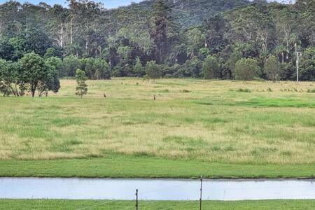 The Sanctuary - Family Retreat - Noosa Hinterland Villa North Arm Ngoại thất bức ảnh