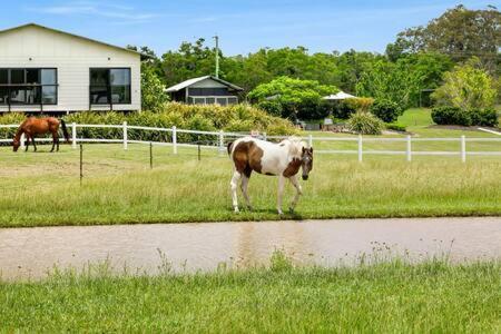 The Sanctuary - Family Retreat - Noosa Hinterland Villa North Arm Ngoại thất bức ảnh