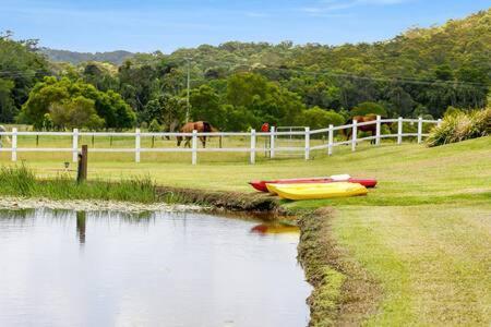 The Sanctuary - Family Retreat - Noosa Hinterland Villa North Arm Ngoại thất bức ảnh